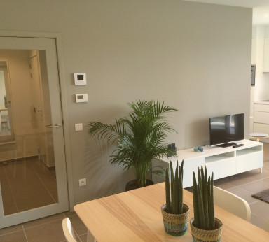 Furnished business apartment for short- & long-term rental in Ghent, Belgium
